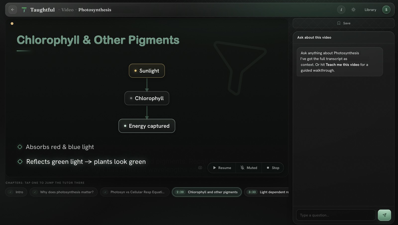 Taughtful teaching a YouTube video on photosynthesis: the voice tutor draws a Sunlight to Chlorophyll to Energy-captured diagram as it speaks, with Resume, Mute and Stop controls, chapter markers, and an ask-about-this-video panel.